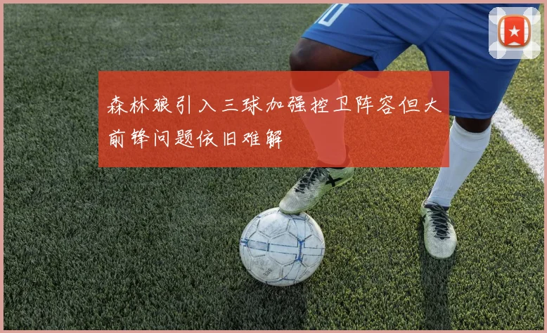 森林狼引入三球加强控卫阵容但大前锋问题依旧难解