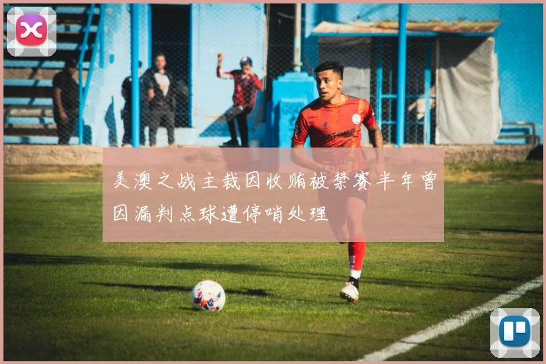 美澳之战主裁因收贿被禁赛半年曾因漏判点球遭停哨处理