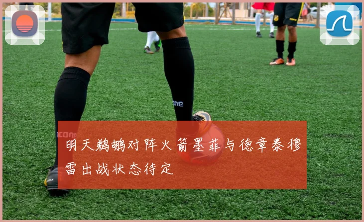 明天鹈鹕对阵火箭墨菲与德章泰穆雷出战状态待定